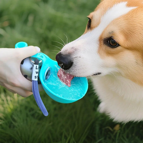 Pet Adventure Hydration Companion